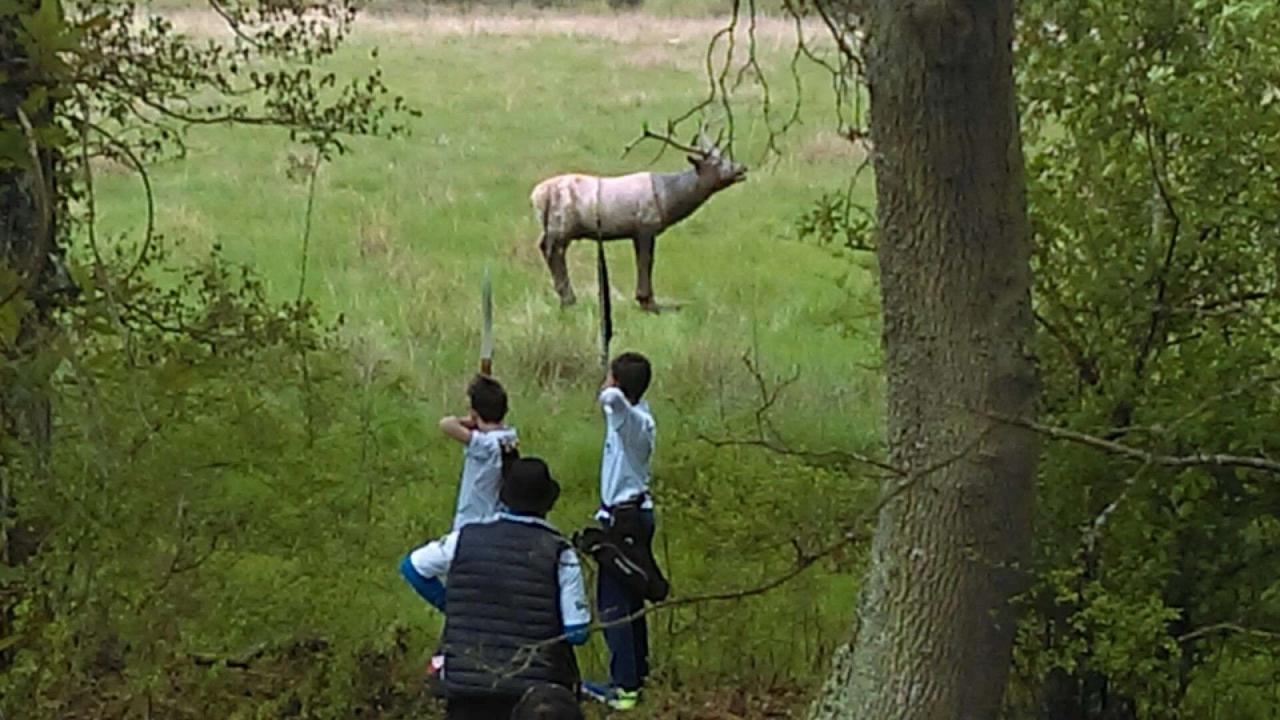 IMAG0013_20170429_142624