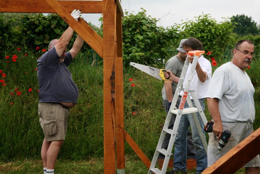 Pergola