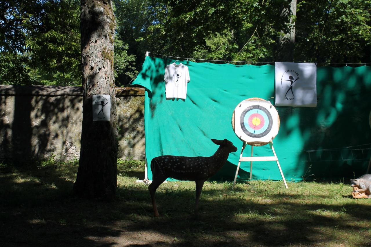 OLIVET en SPORT 2017_32